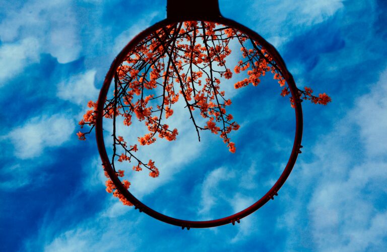 Hanging circle of iron with flowers with a background of the sky depicting a wheel.